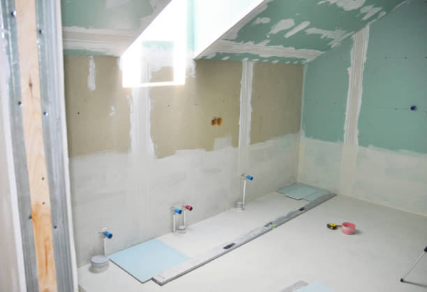 Trusted Mediapolis, IA Dry wall and painting Experts